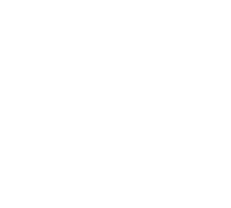 SPI Developments Logo